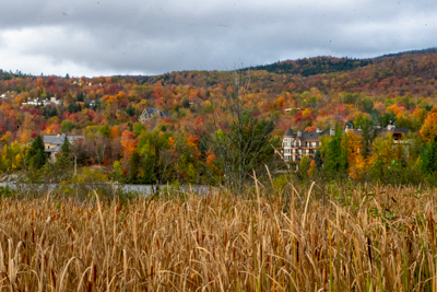 mountain in mont-trembrant